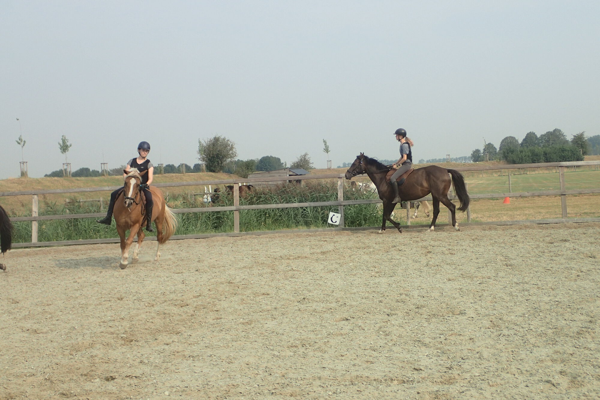 200810 - Sportkamp Zomer Week 33 - Rode Bubbel