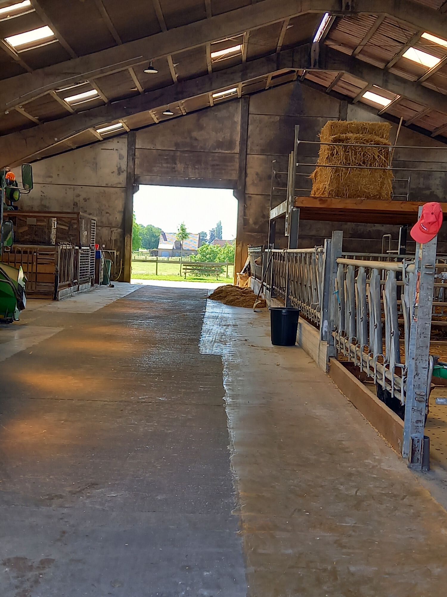 20210613_Verraspapa beestiggeestig_Hoeve'tAlkeveld_Zottegem.jpg