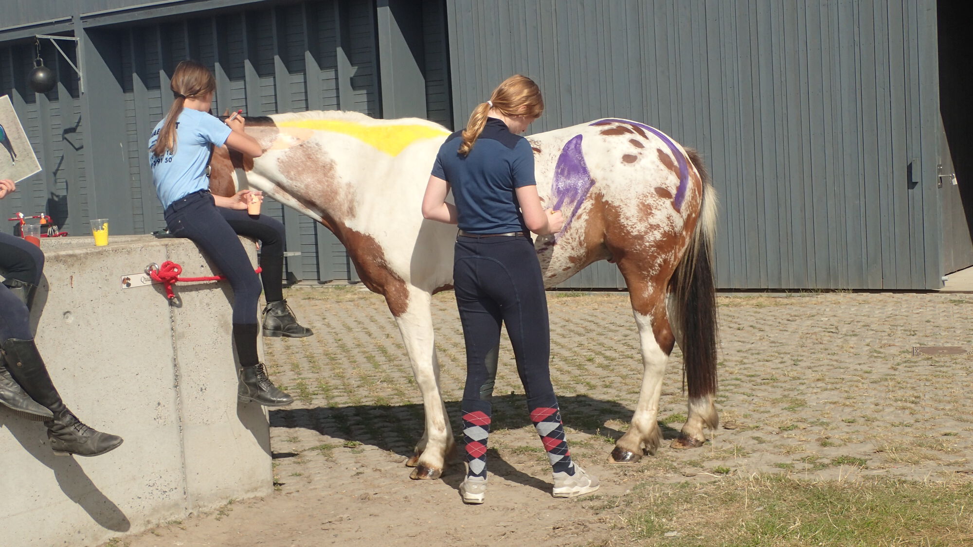 Sportkamp Zomer Week 2 - 2019