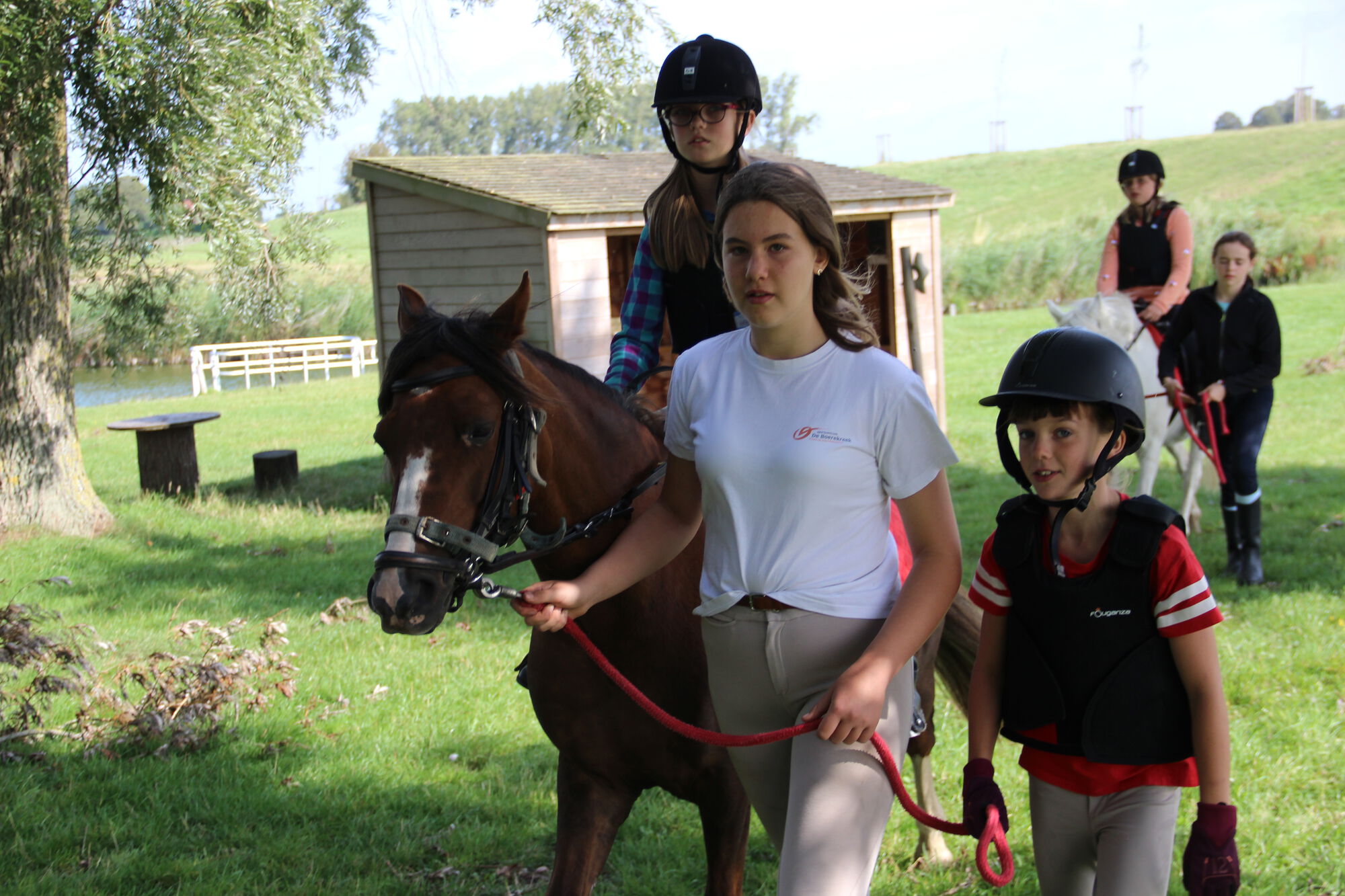 SK Zomer Week 7