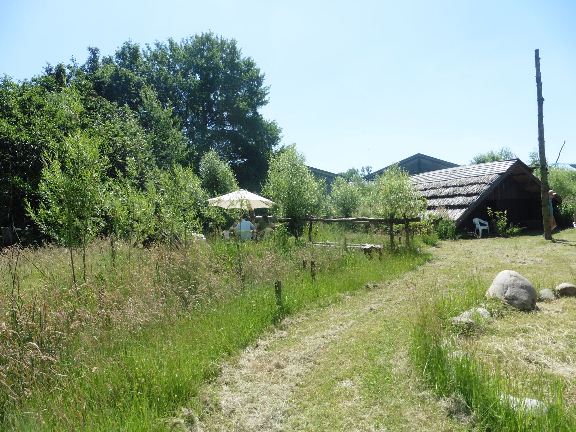 20210613_Verraspapa beestiggeestig_OnsDagelijksGroen_Aalst.JPG