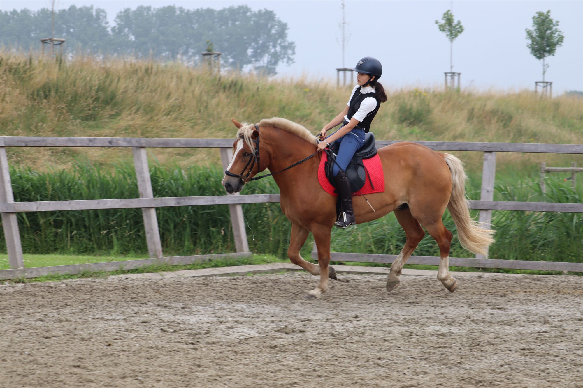 20210716 Sportkamp Week 28 Centrum De Boerekreek