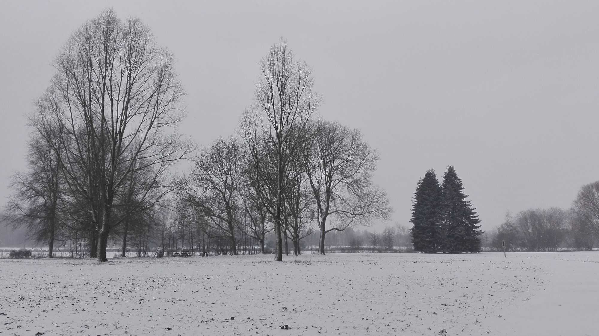 20190122 Puyenbroeck in de sneeuw