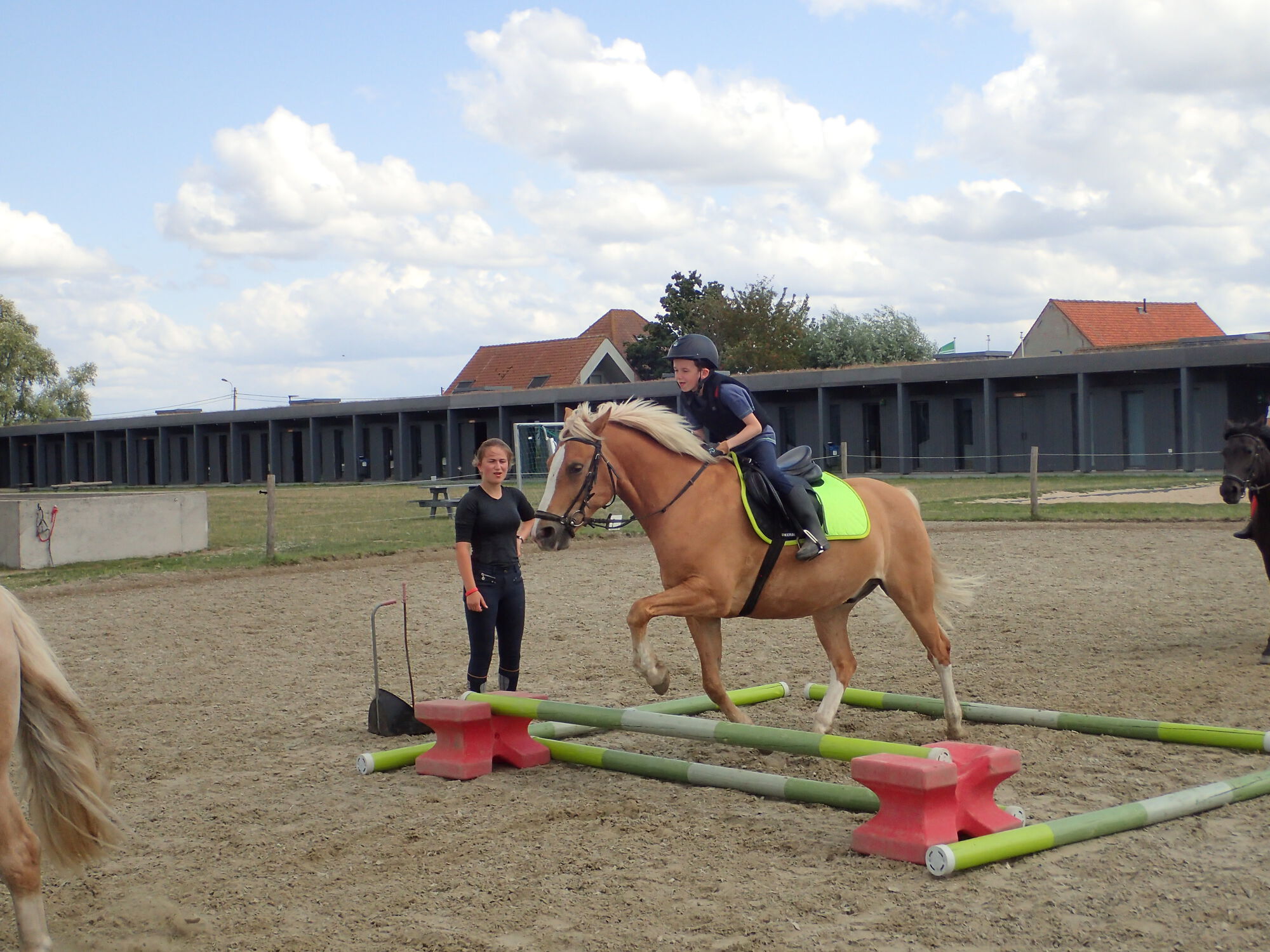 SK Zomer Week 6 -2019