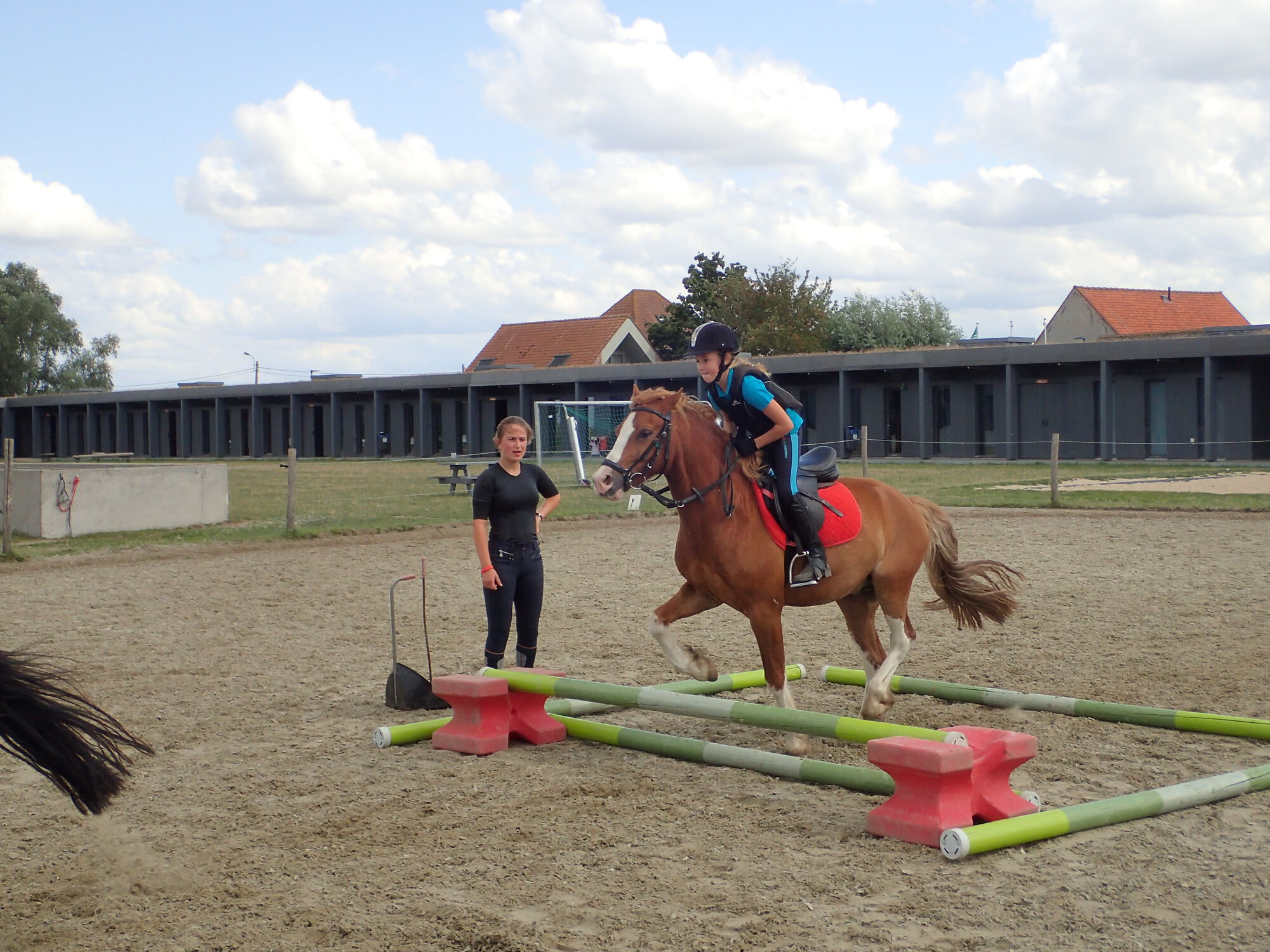 SK Zomer Week 6 -2019