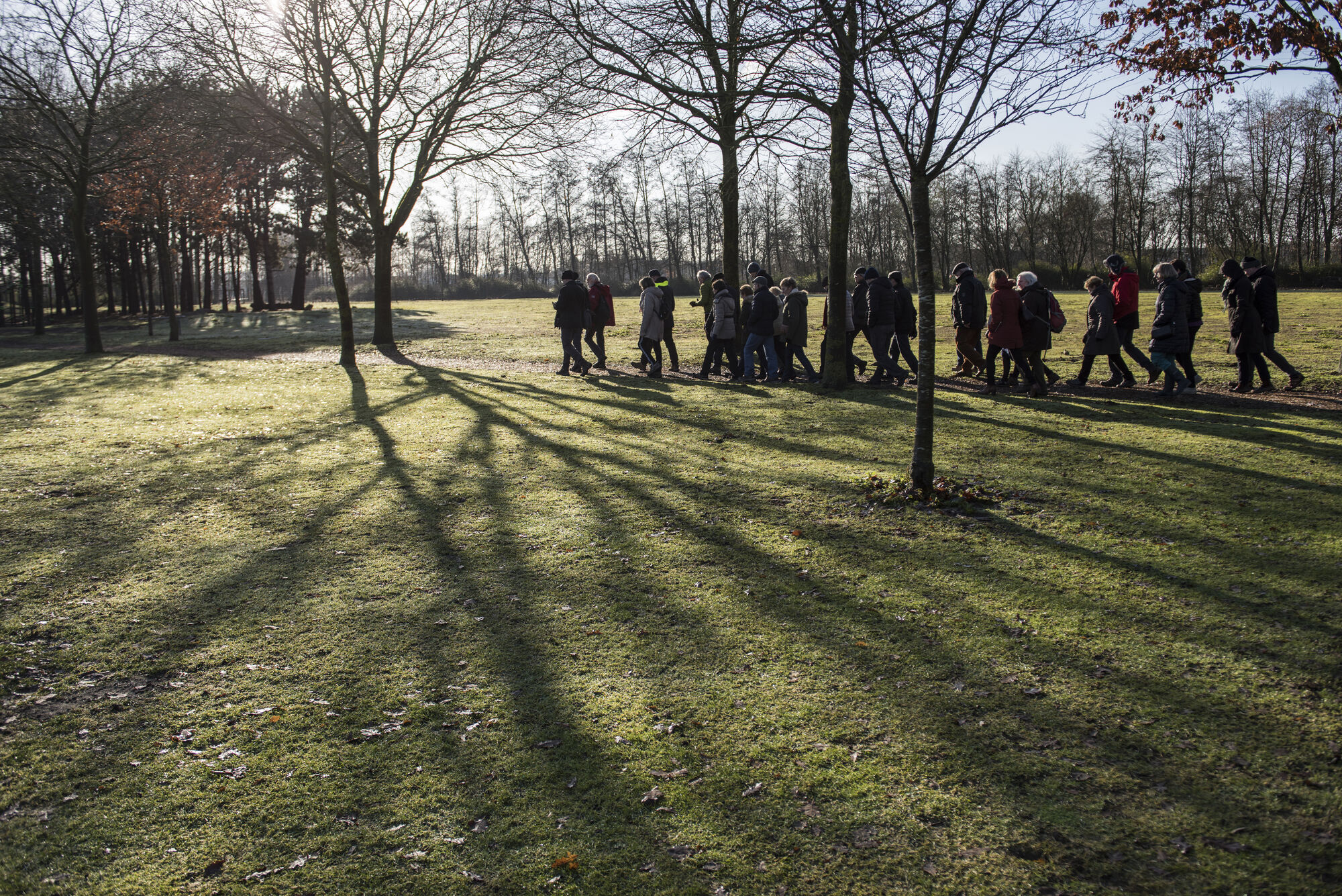 20190203 De Brielmeersen winterwandeling met natuurgids