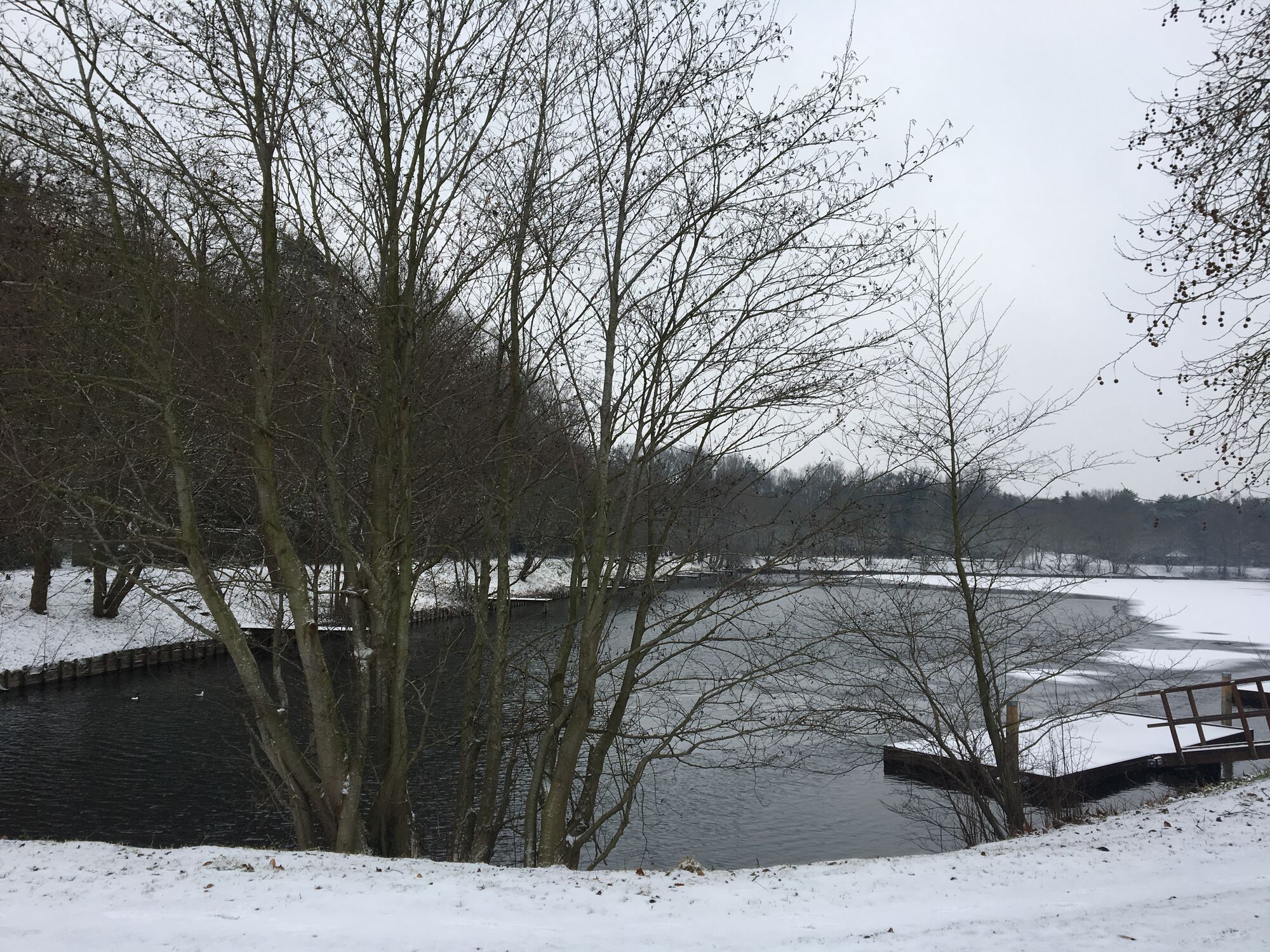 20190122 De Ster in de sneeuw
