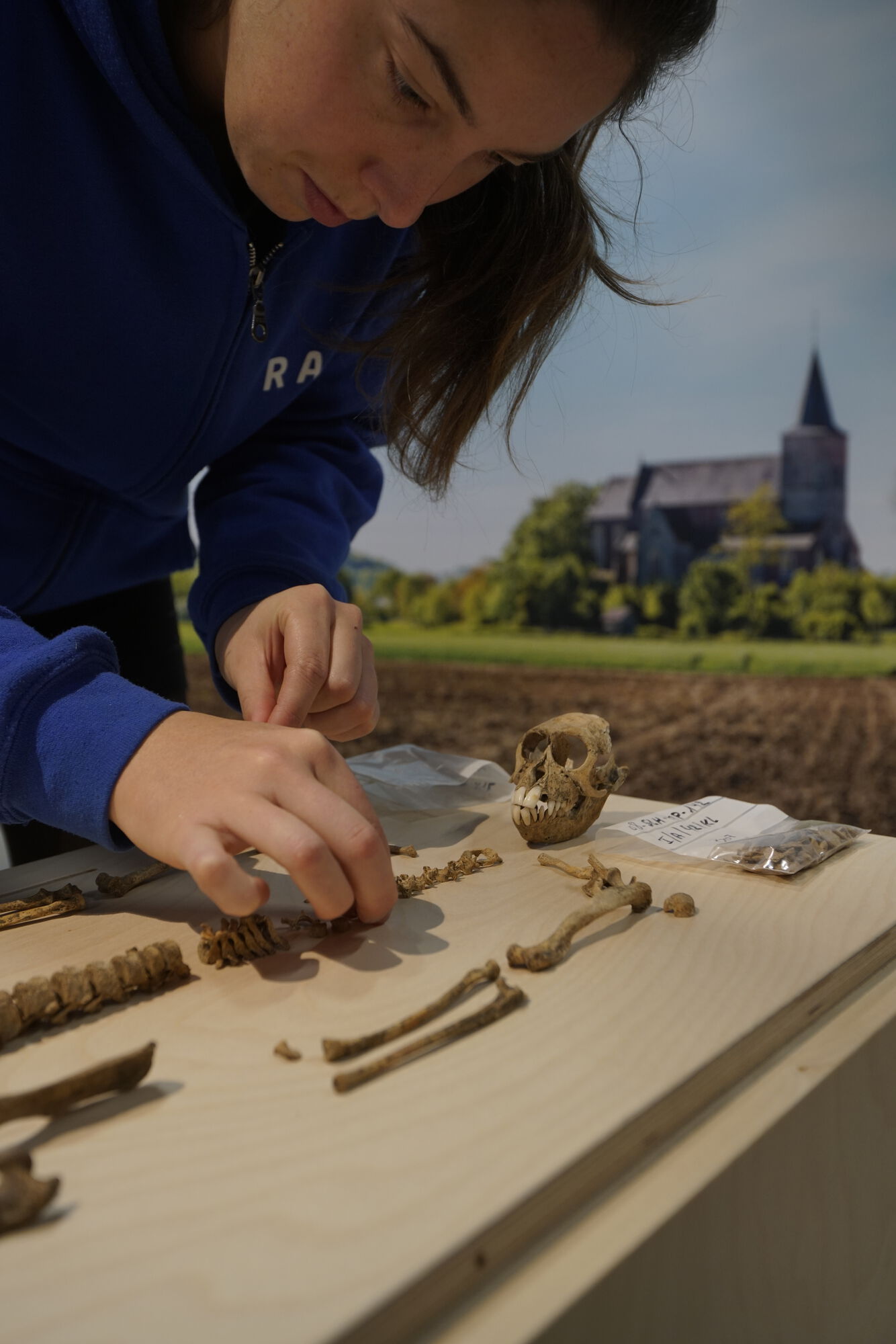 Unieke erfgoedvondst op de tentoonstelling Landschap Door.Grond in Archeocentrum Velzeke