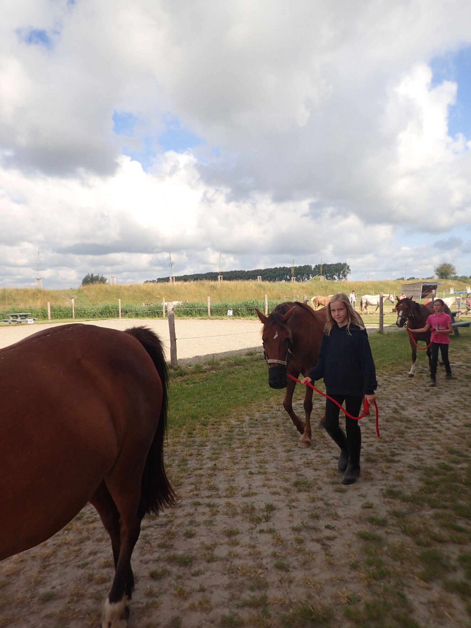 SK Zomer Week 1 -2019