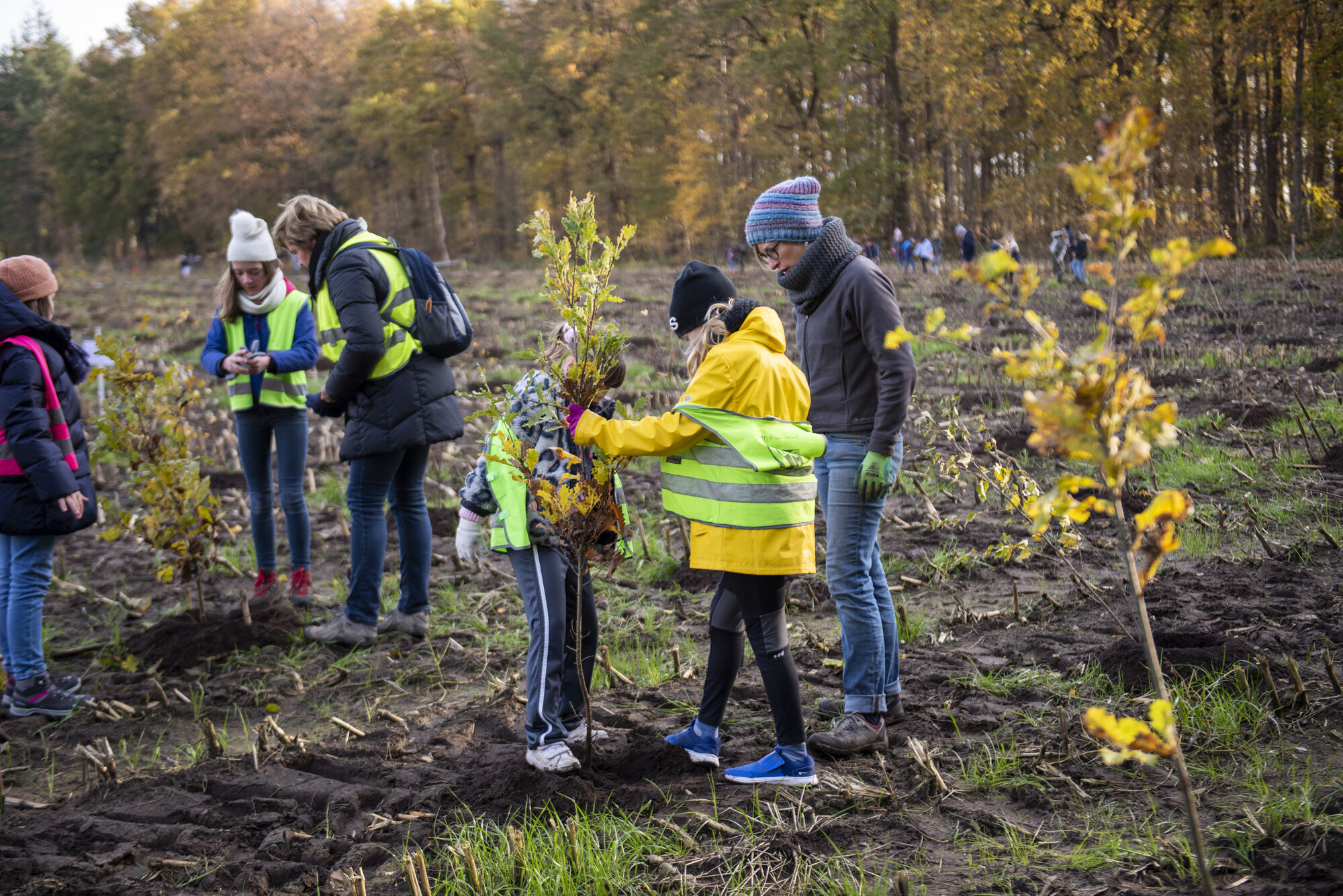 191122 boomaanplantactie Hospicebossen